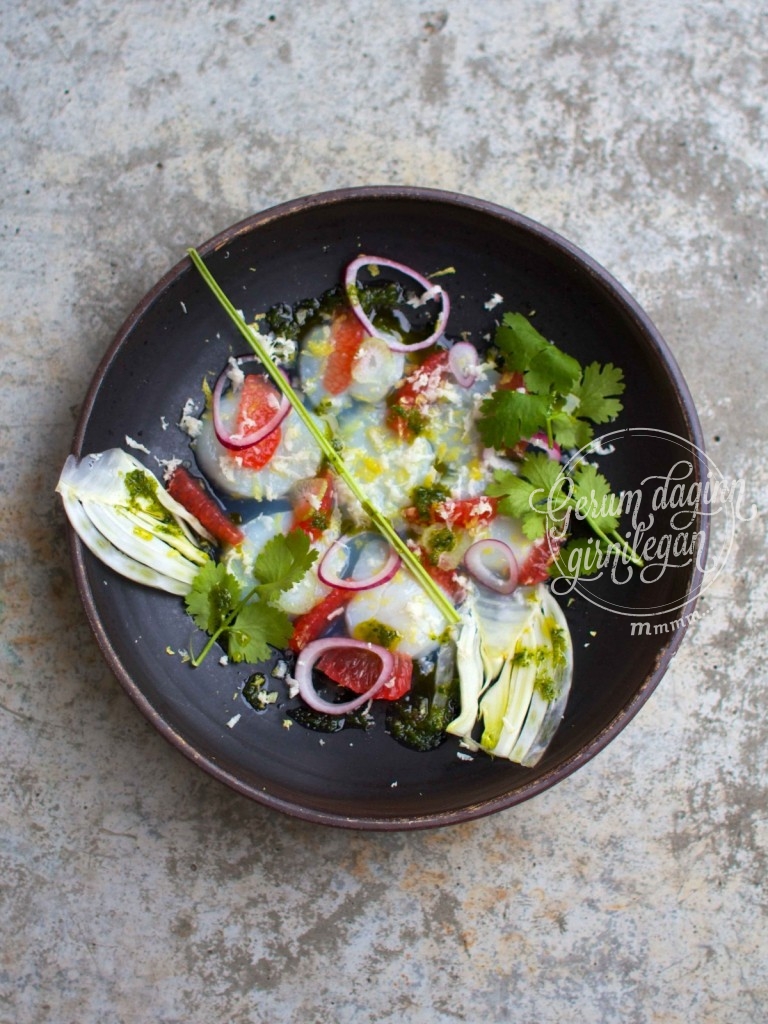 Hörpuskel Ceviche með kóriander og fennel